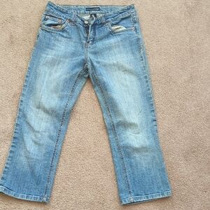 Vintage Refuge Cropped Jeans